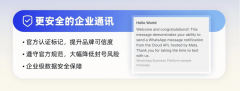 <strong>精准笼盖全球潜正在</strong>